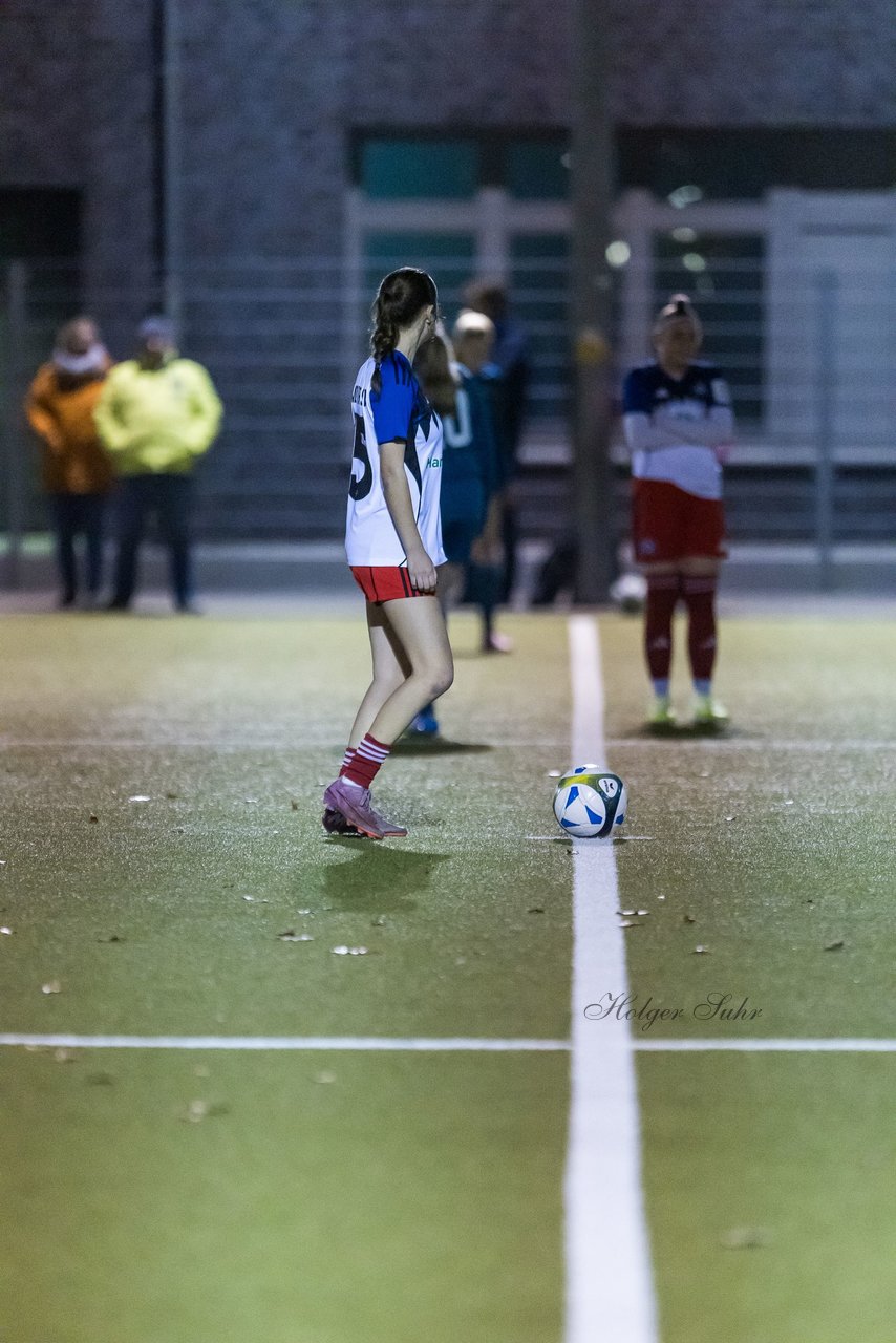 Bild 312 - F SC Alstertal-Langenhorn - Hamburger SV 3 : Ergebnis: 2:2